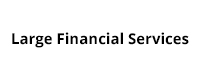 Large Financial Services