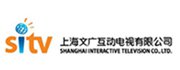 Shanghai Interactive Television
