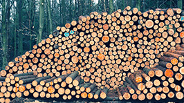 How To Stop Rogue Loggers With Data