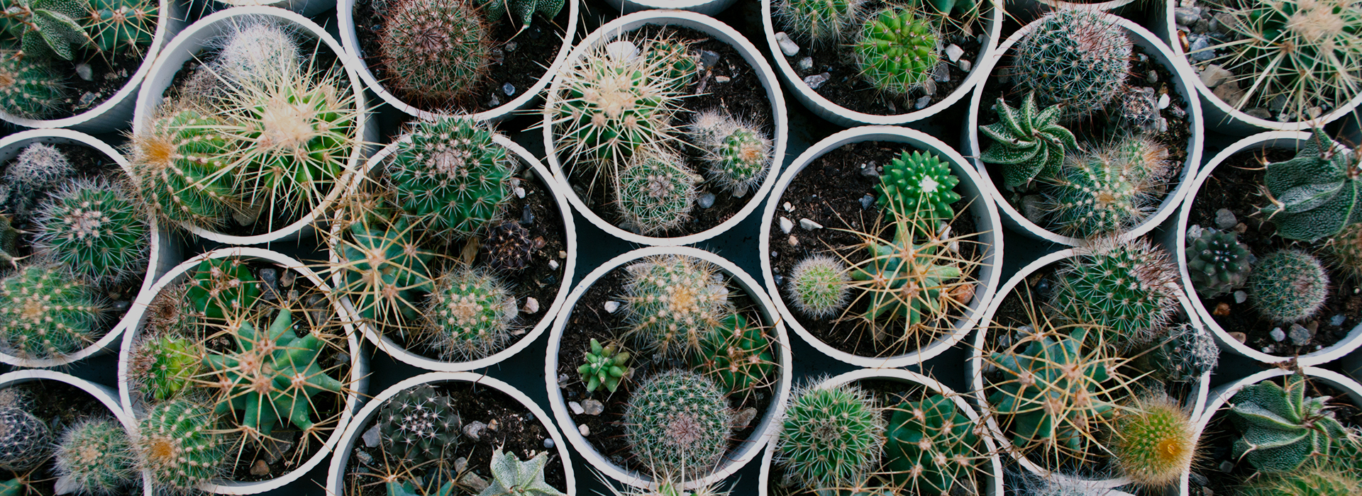 Referenzarchitektur zur Bereitstellung von Kubernetes Container-Anwendungen