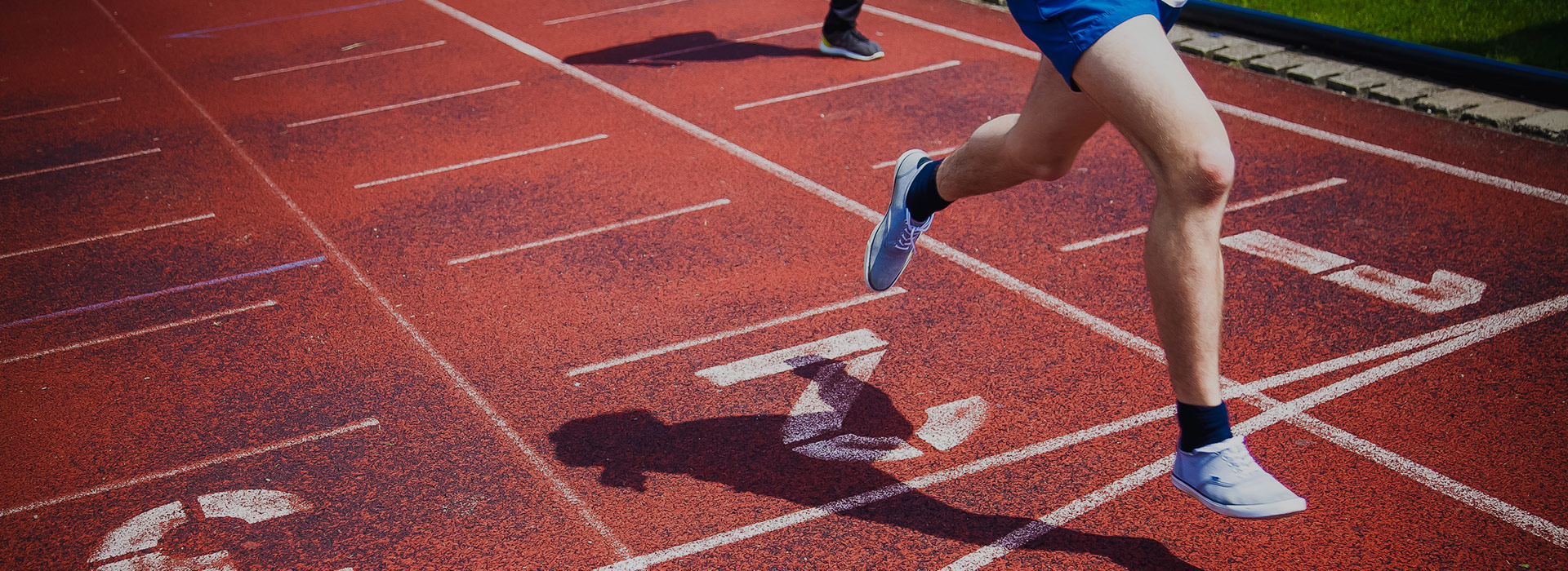 Fast Track to SAP S/4HANA®