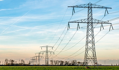 Enabling a Digital Marketplace for Flexibility for Electric Utilities