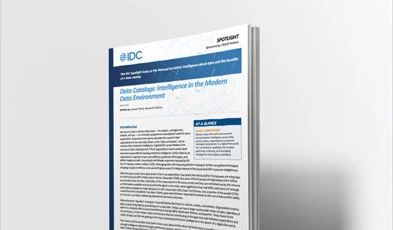  IDC Spotlight Report: Data Catalogs