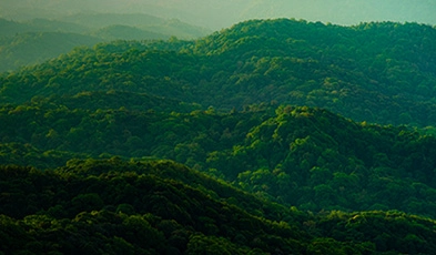 Rapidly Deliver Virtual Desktops for Remote Workforce