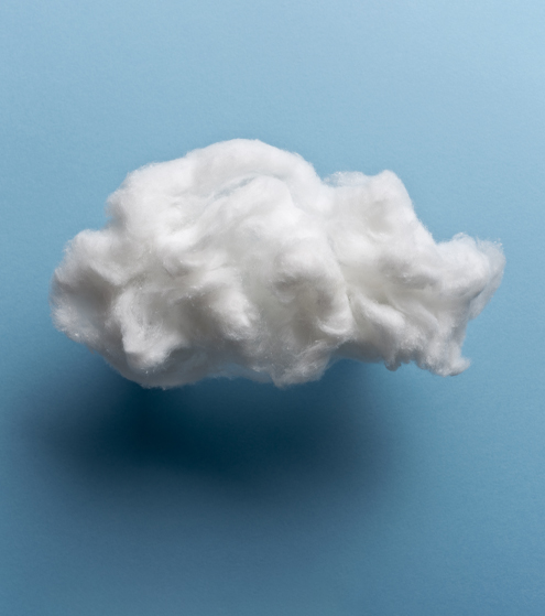Seven ways to reduce your CO2 footprint and save money.